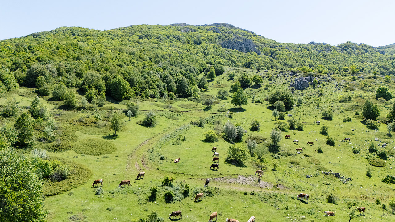 Şebek Geçidi1