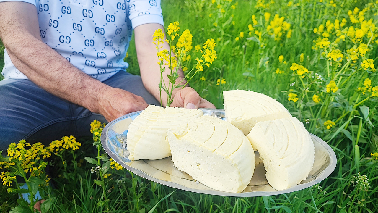 Yozgat’ta Yaylada Hayat Başladı (3)