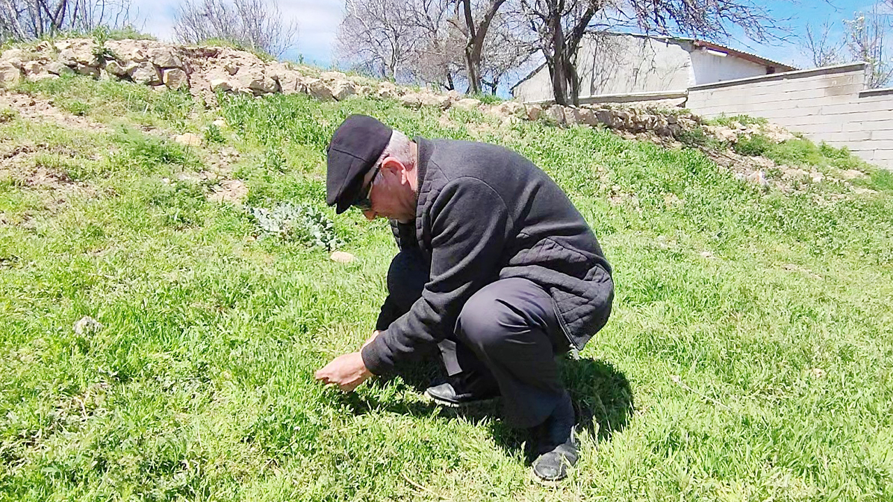 Zahmeti De Lezzeti De Çok (6)