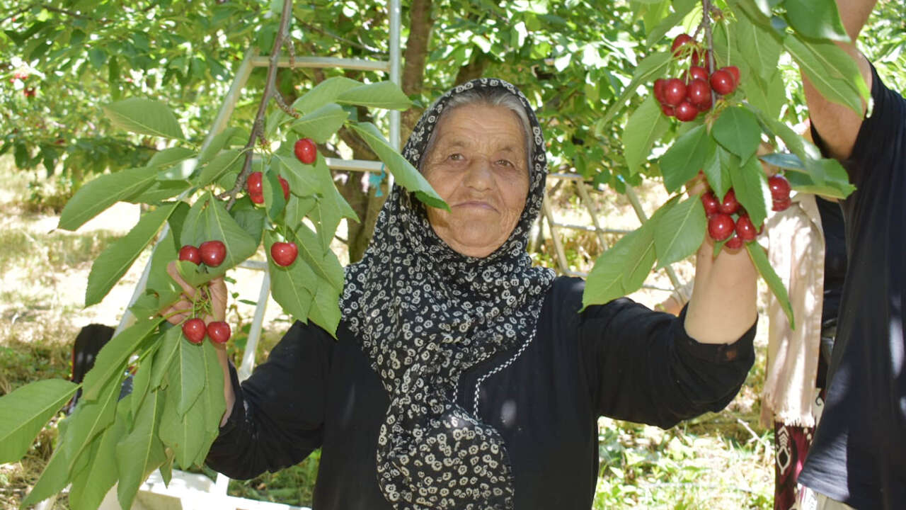 bereket-bahcesi5