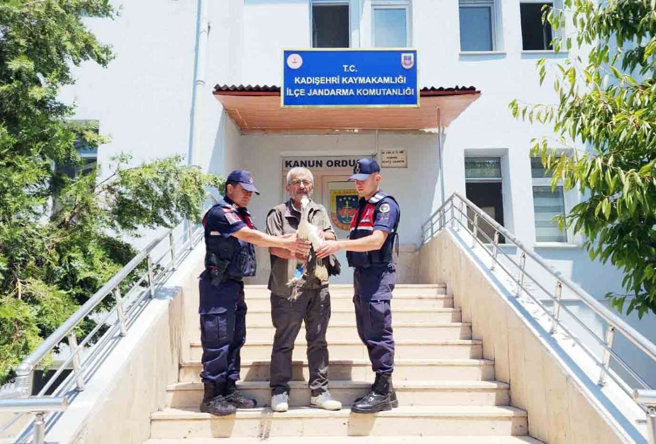 kadisehri-yarali-leylek-1