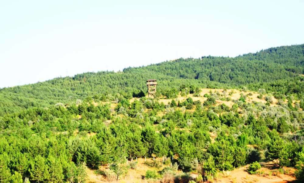 500-yillik-camlar-gecmisi-gelecege-tasiyor-3