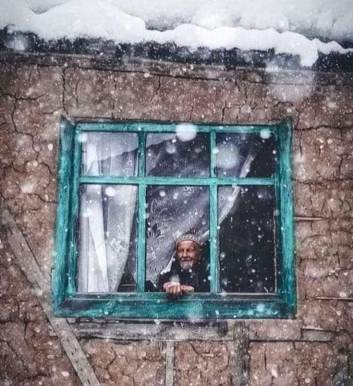girmizi-sittilem1