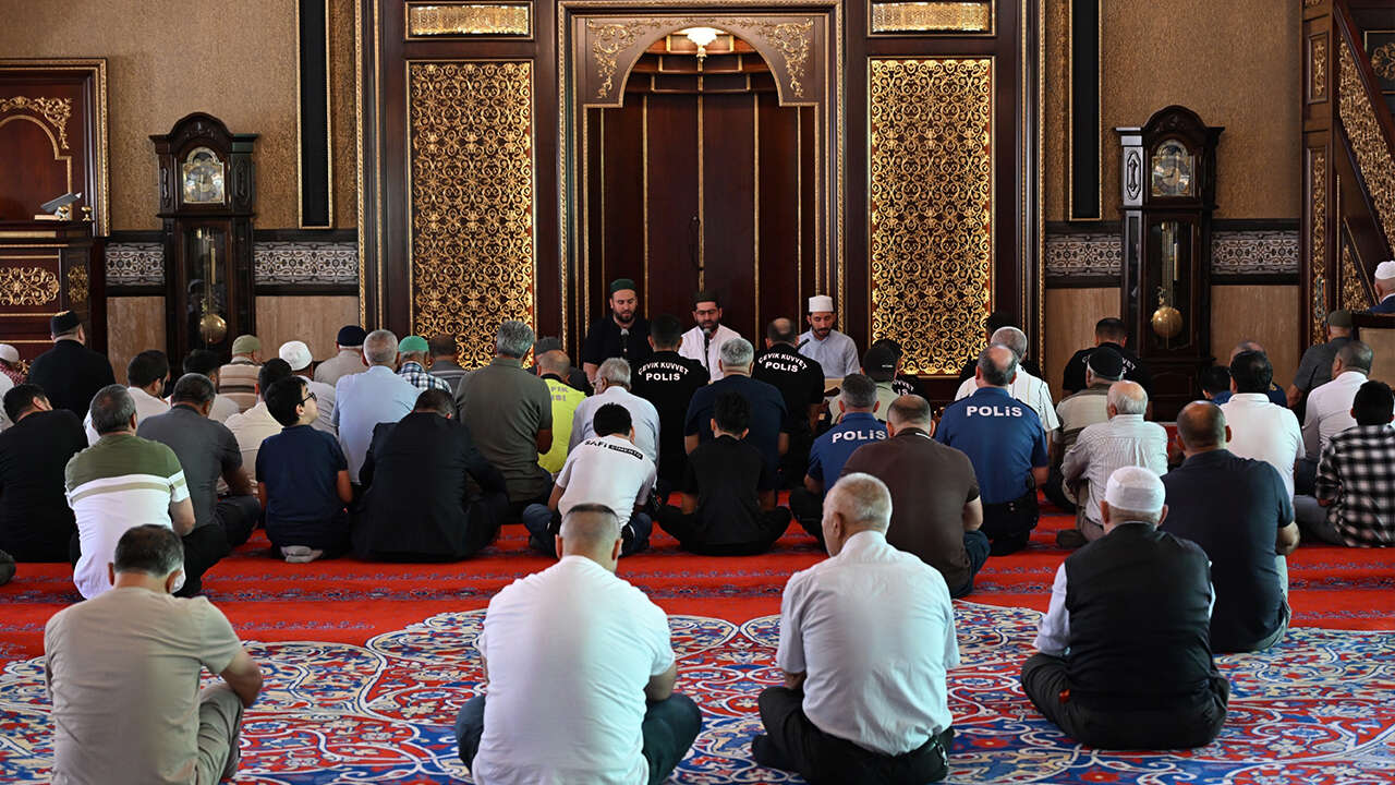 sehide-dua