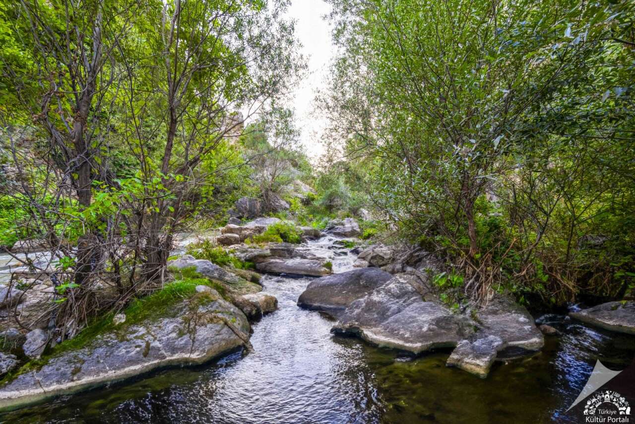 kazankaya